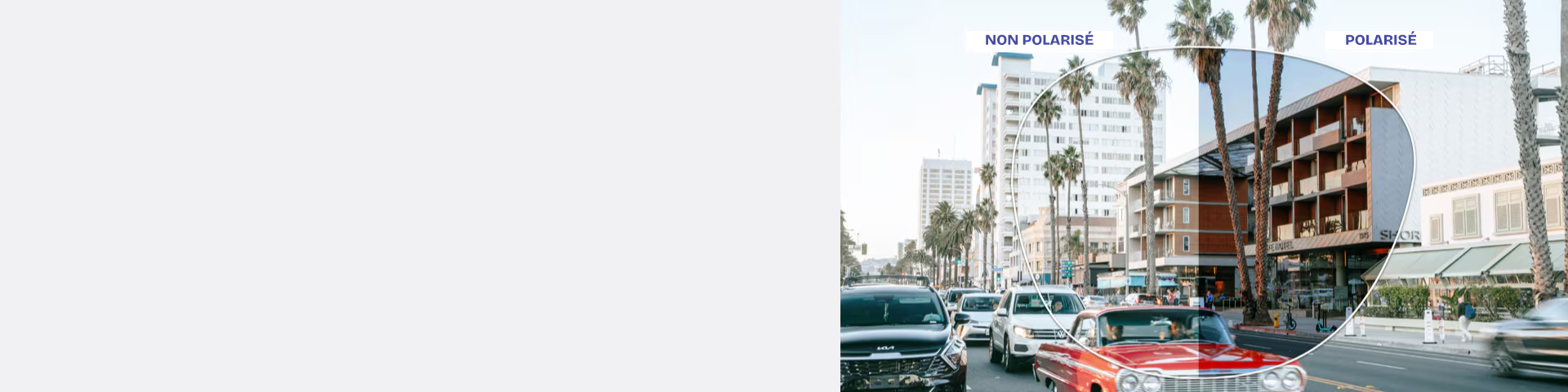 Lunettes Polarisées